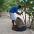 Naviti - Coconut Bay Resort - Ruf zum Mittagessen