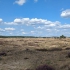 Hoge Veluwe