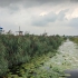 Kinderdijk