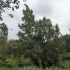 Nationalpark De Biesbosch