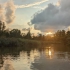 Nationalpark De Biesbosch