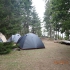 Törnabygd Camping