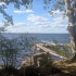 Elchpark am Miensee