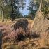 Wikingerfriedhof