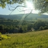 Waltersdorf