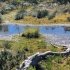 Georgenfelder Hochmoor