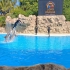 Loro Parque