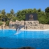 Loro Parque