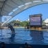 Loro Parque