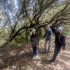 El Bosque de Los Enigmas