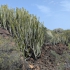 Malpaís de Güímar