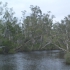 Noosa - Everglades