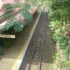 Kuranda - Scenic Railway