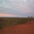 Outback - Uluru in der Ferne