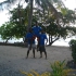 Naviti - Coconut Bay Resort