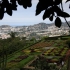 Madeira - Funchal - Jardim Botânico