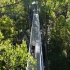 Great Ocean Road - Otway Fly Treetop Walk