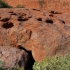 Uluru - Base Walk