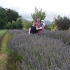 Lavendyl Lavender Farm