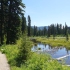 Manning Park - Beaver Pond Nature Trail