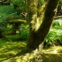 Butchart Gardens - Japanischer Garten