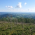 Aussichtsturm Oberfrauenwald