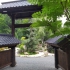 Ogród Japonski Siruwia